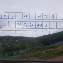 도라지 배즙 추천좀.. 이미지