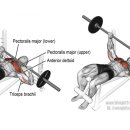 페르소나 피티샵 이미지