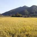 경남고성논매매...개천면 북평리 소재 반듯한 농림지역 농지 1852m²매매 이미지