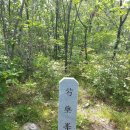 낙동 일월지맥 2구간(당리고개~502.5봉~911번도로~449.4봉~주현임도~753봉~흥림산~작약봉~행곡령) 이미지