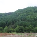 삼봉야영장 이미지