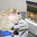 오락지존 이미지