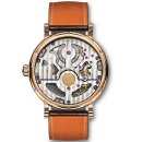 셀리시움 이미지