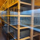 아리랑 어린이공원 이미지