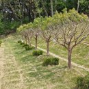 지남목장 이미지