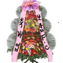 마니공인중개사사무소 이미지
