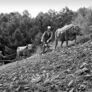 사진마을 이미지