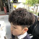 퍼니스핀 네이버블로그