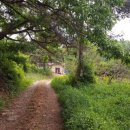 내가면-2 이미지