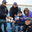 가경주항 이미지