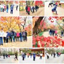 화순보건소 이미지