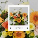 💚 제철 행복을 찾아서: ( 서울 나들이)