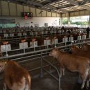 영주축산업협동조합 이미지