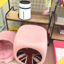 강아지 미용실 이미지