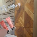 다인헤어센스