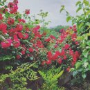 생곡스테이 이미지