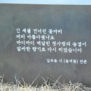 김우용「동백꽃」 Daum카페