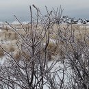 비치웨이 이미지