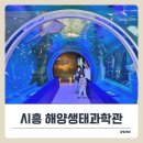 한울공원 관광휴게동 | 시흥 아이랑 갈만한곳 ‘해양생태과학관’ &amp; 식사 꿀팁.