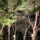 투카페 - 고양시 일산동구 고봉로 32-19 | 투카페