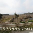 대불주거4로 네이버블로그