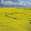 강서구청역 이미지