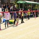 서촌초교 병설유치원 이미지