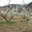 성실농원 이미지