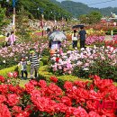 강원특산물판매장 이미지