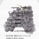 빛마루농장 네이버블로그