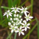 계절여행 이미지