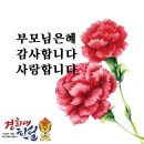 경희대한얼태권도 이미지