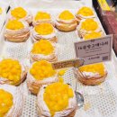 레몬 | 성심당 레몬크림파이 후기 평일 꿀타임에 다녀온 리얼 경험담