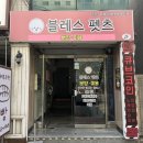 블레스펫츠 이미지