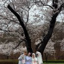 주차10 | 2026 경주벚꽃마라톤 10K 코스 우중런 후기 주차