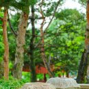 부여 가탑리사지 이미지