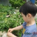 빈이네농장 이미지