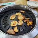 쇠느리식육석쇠구이