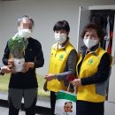 인헌동-19 이미지