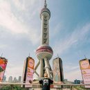 벼룩시장 구인구직 완전정복