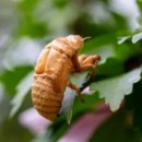 신비의바닷길민박 이미지