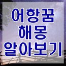 어항꿈 해몽 어항속물고기꿈 등 다양한 의미 풀이 이미지