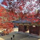 민속마을 이미지