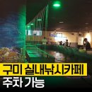 구미 실내낚시카페 물만난고기, 부담없이 즐기는 손맛