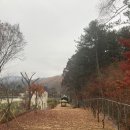 아정원