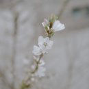 영영상점 정릉29호상점 네이버블로그