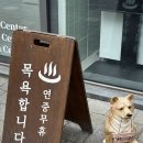 강아지풀 | 광교 강아지목욕, 진이네강아지풀 다녀온 후기