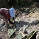 학림보건진료소 이미지