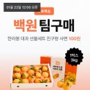 종료 [설 선물SET] 제주 한라봉 특품 선물세트 3kg (대과 10-12과) 100원딜!! 본문 봐줘!!! 쿠폰 갯수 적다ㅜ 이미지