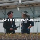 그린애드컴 | 농협 홍보영상 제작 후기
